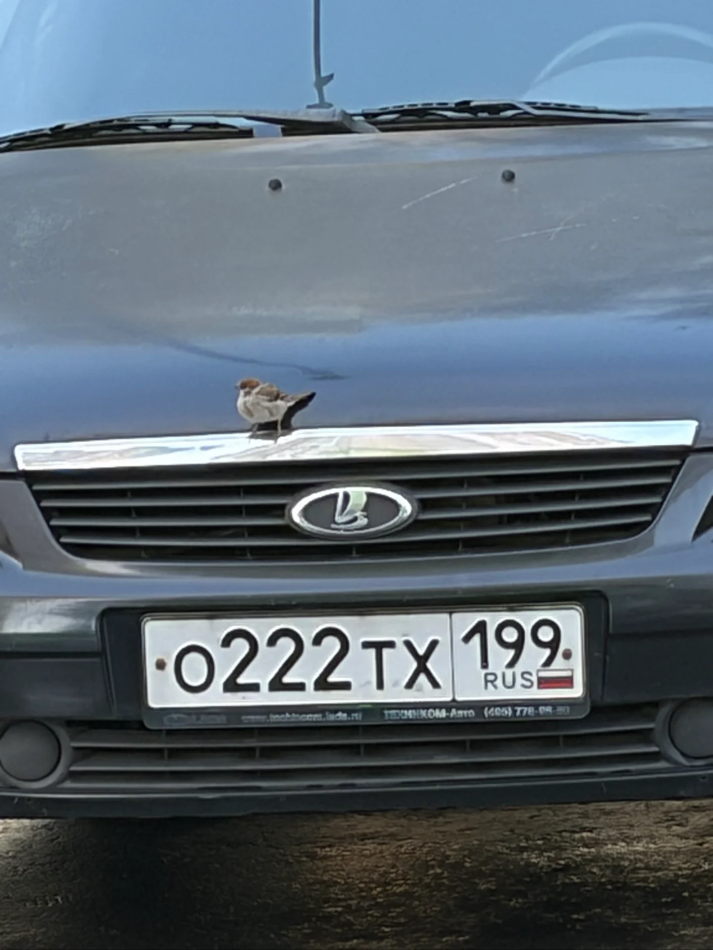Машина лада приора универсал, фото 2