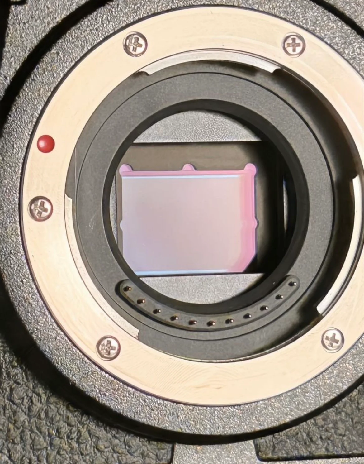 Panasonic Lumix GH6 body, фото 2